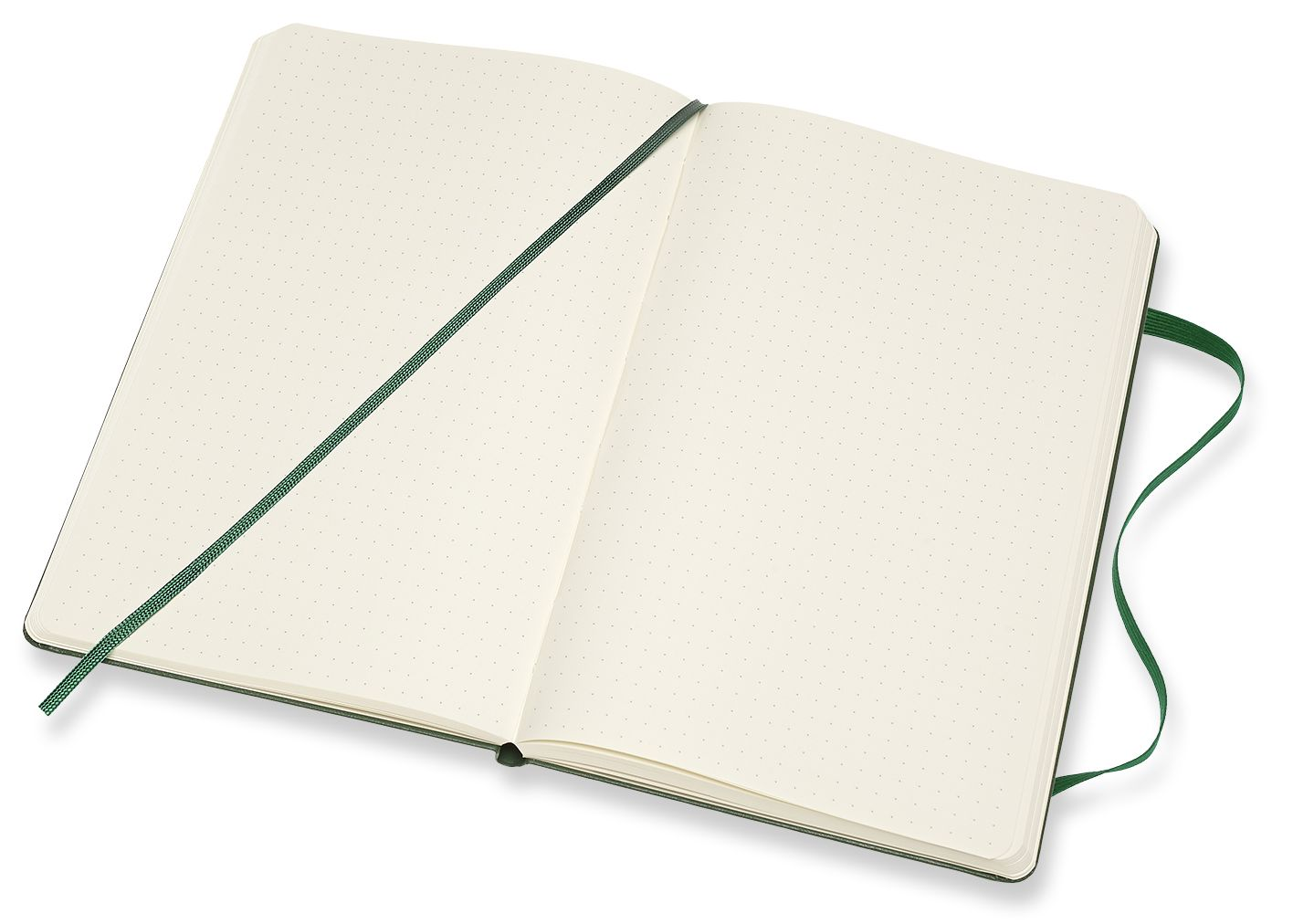 Moleskine Notebook. Large. Dotted. Myrtle Green. Hard (5 x 8.25) - Image 3
