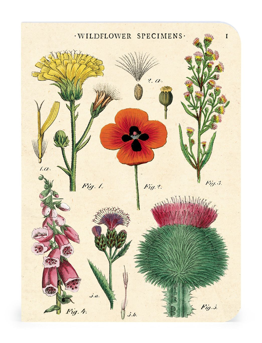 Wildflowers Mini Notebooks - Image 3