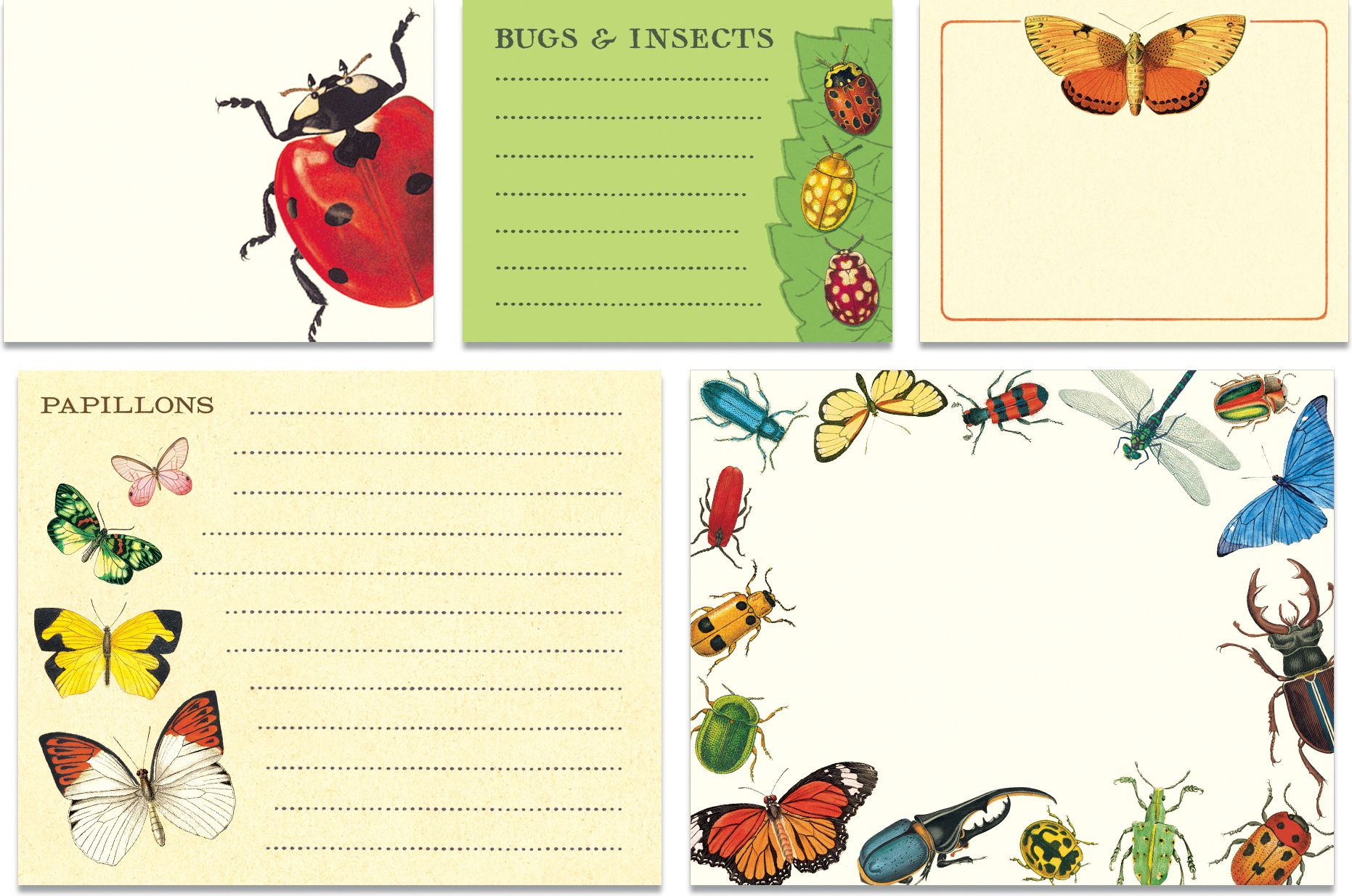 Bugs & Insects Sticky Notes - Image 2