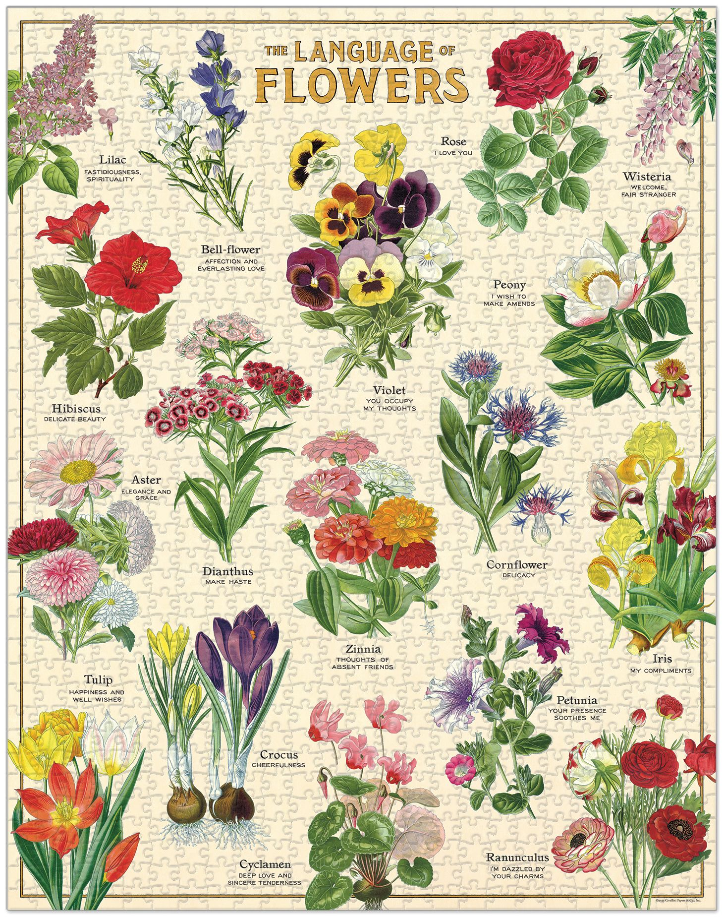 Language of Flowers 1.000 Pc Puzzle - Image 2