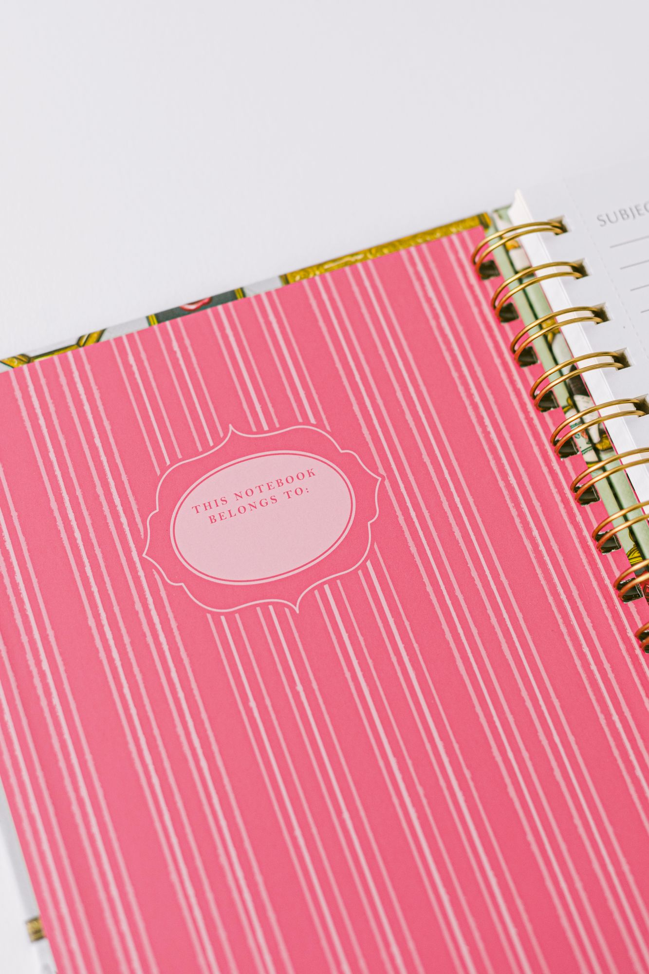 Mouse Cameo Spiral Notebook - Image 8
