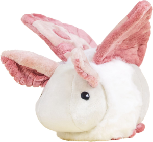Mini Mothi the Moth