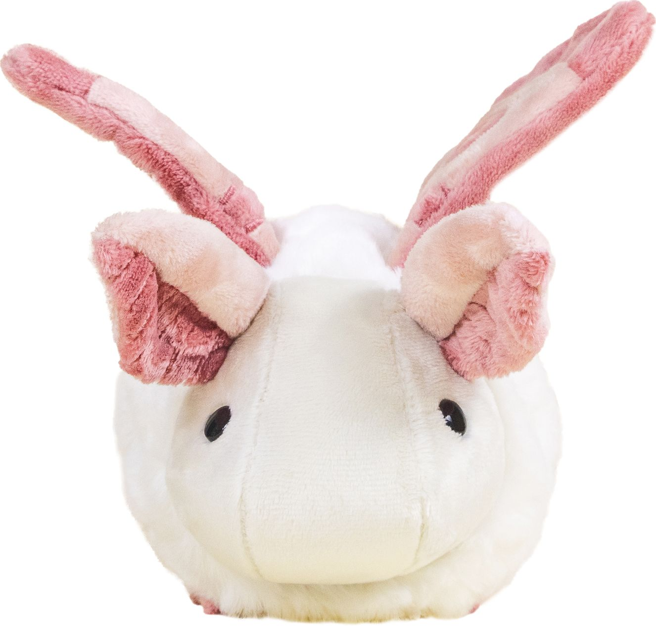 Mini Mothi the Moth - Image 8