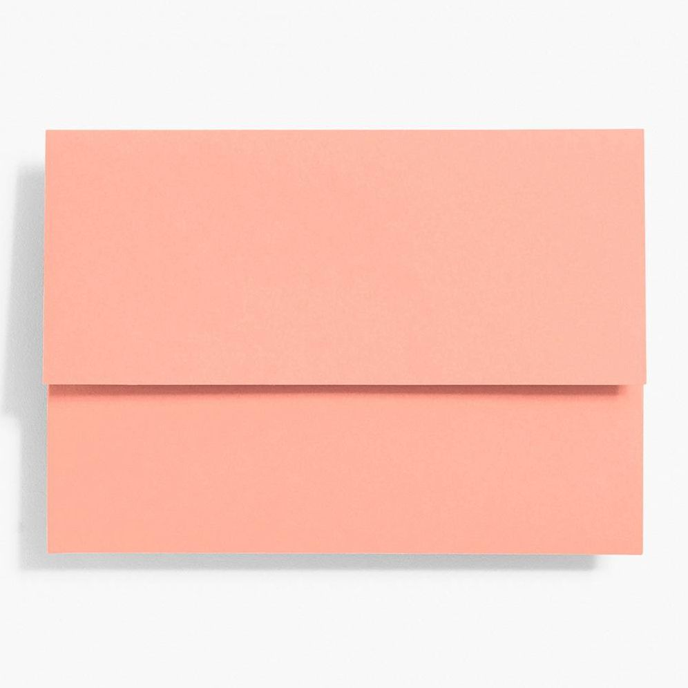 A7 Coral Folder Enclosures - Image 2