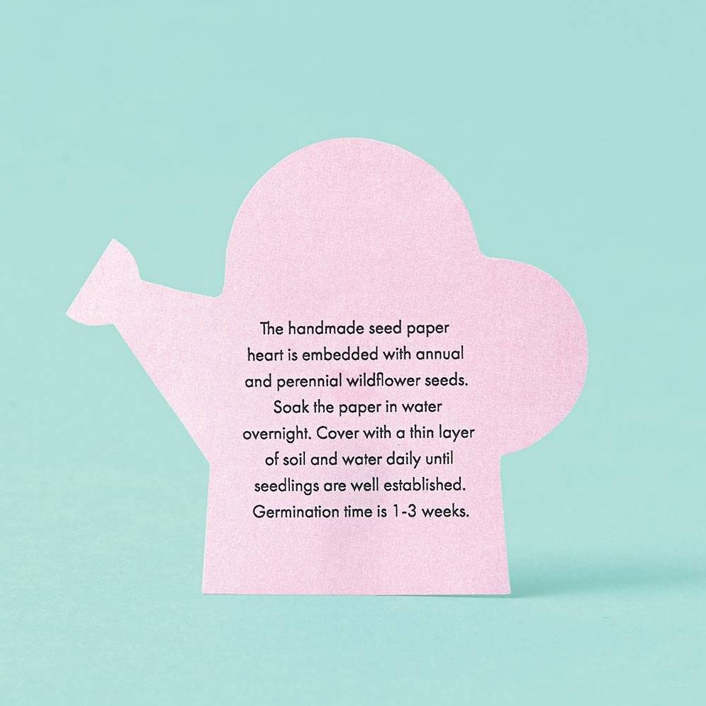Potted Hearts Plant Kit - Image 2