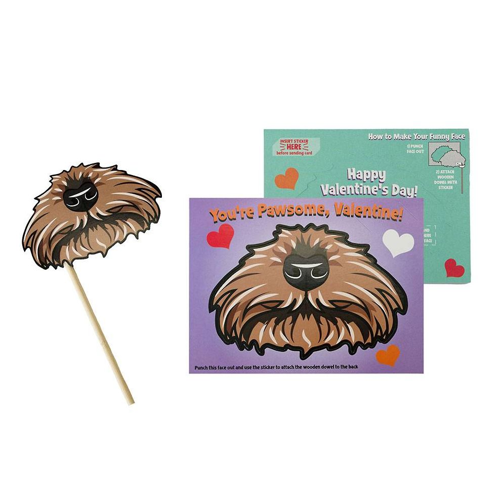 Funny Face Pet Mask Valentine Card Set - Image 2