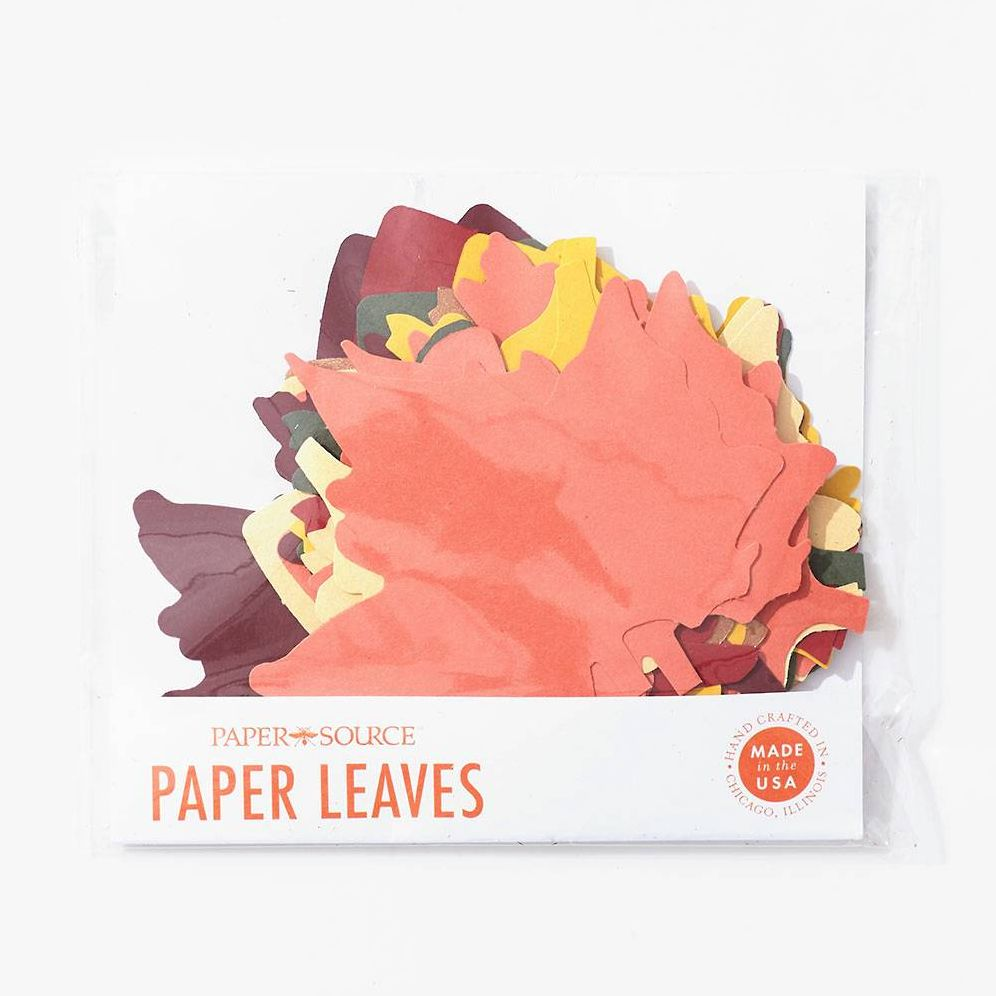 Assorted Fall Leaves - Image 2