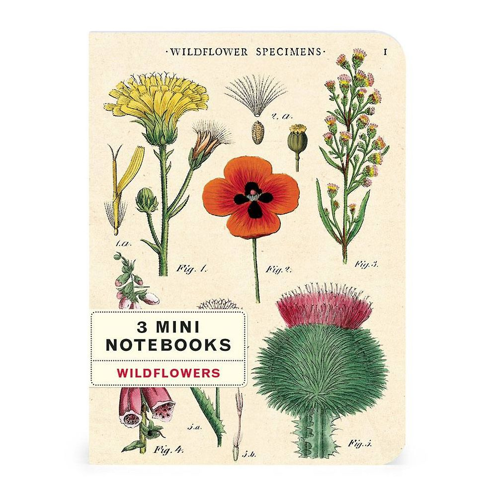Wildflowers Mini Notebooks - Image 8