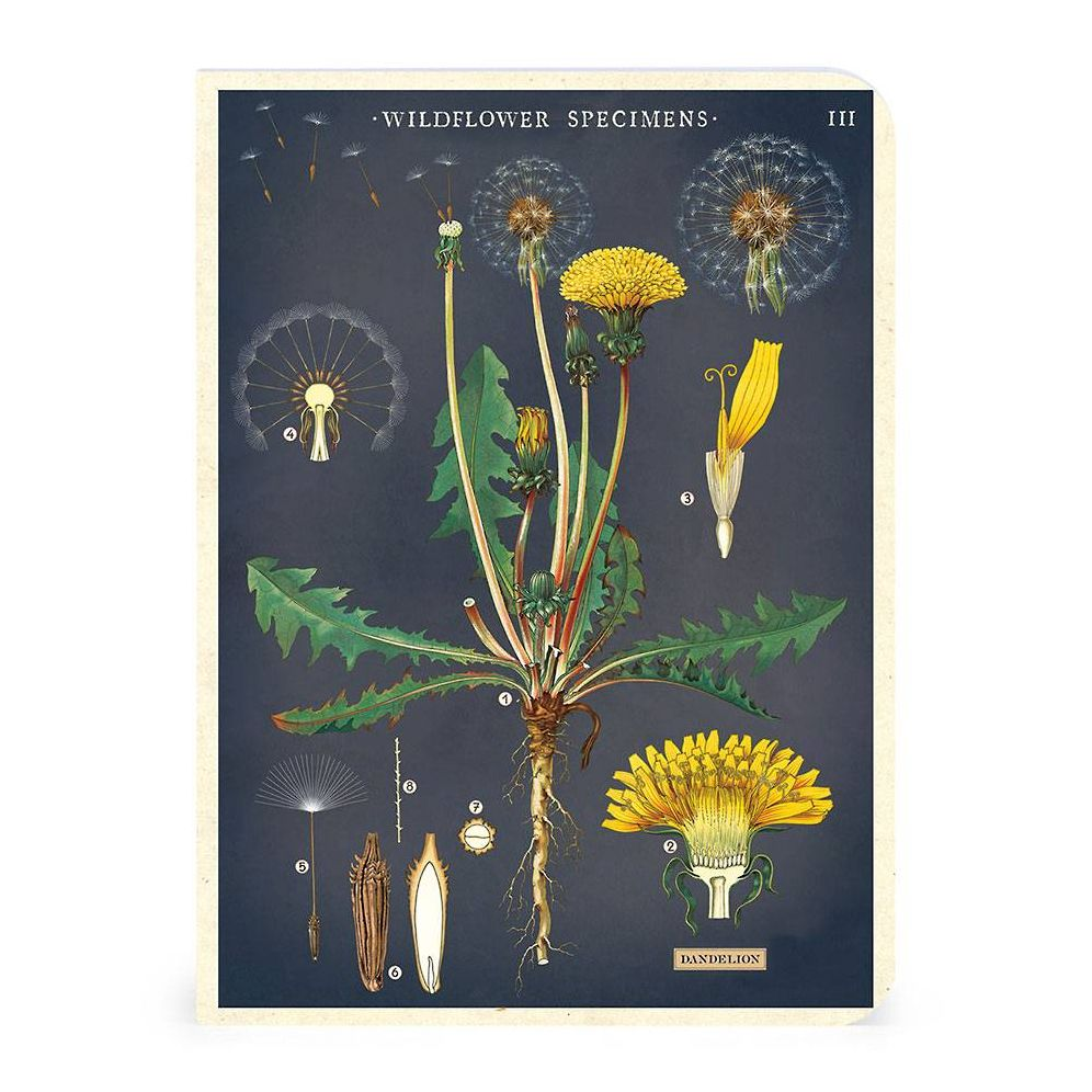 Wildflowers Mini Notebooks - Image 7