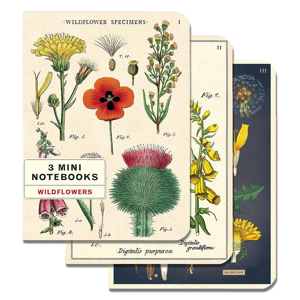Wildflowers Mini Notebooks - Image 9