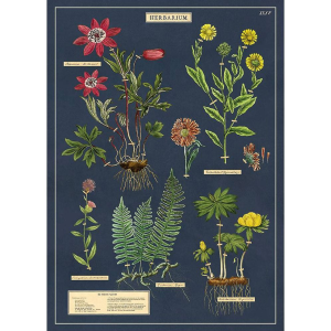Herbarium Flat Wrap