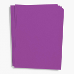Beet Cardstock - 26x20