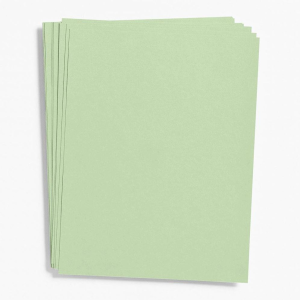 Eucalyptus Paper 8.5 x 11