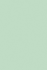 Mint Tissue Paper