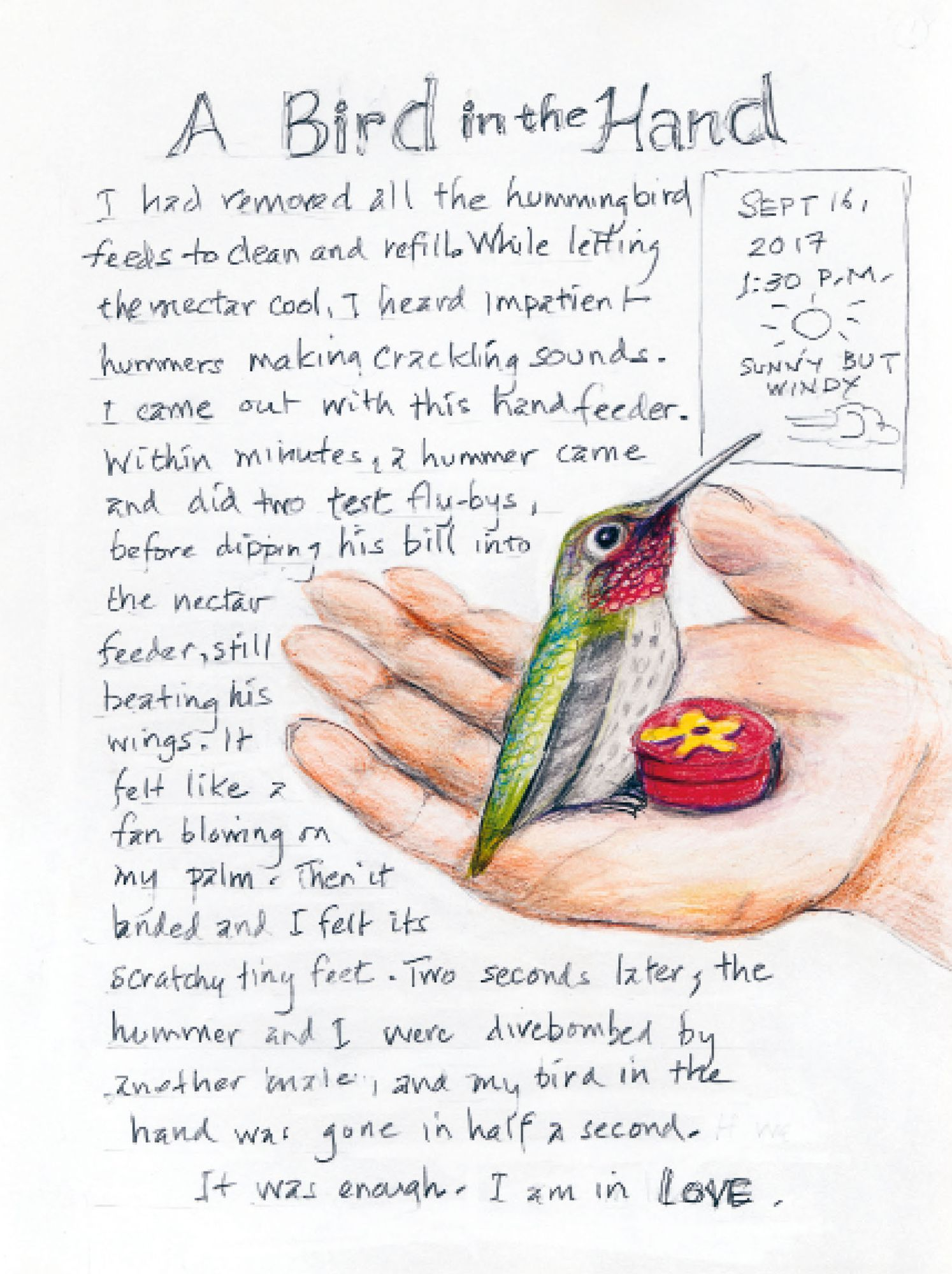 The Backyard Bird Chronicles (2024 B&N Gift Book of the Year) - Image 3