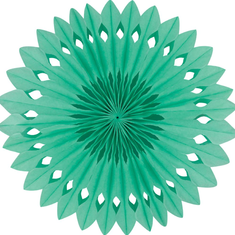 Detailed fan. 30cm. Mint