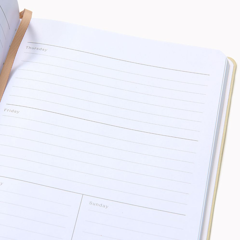 Tapioca Paper Wasp Undated Planner LG - Image 4
