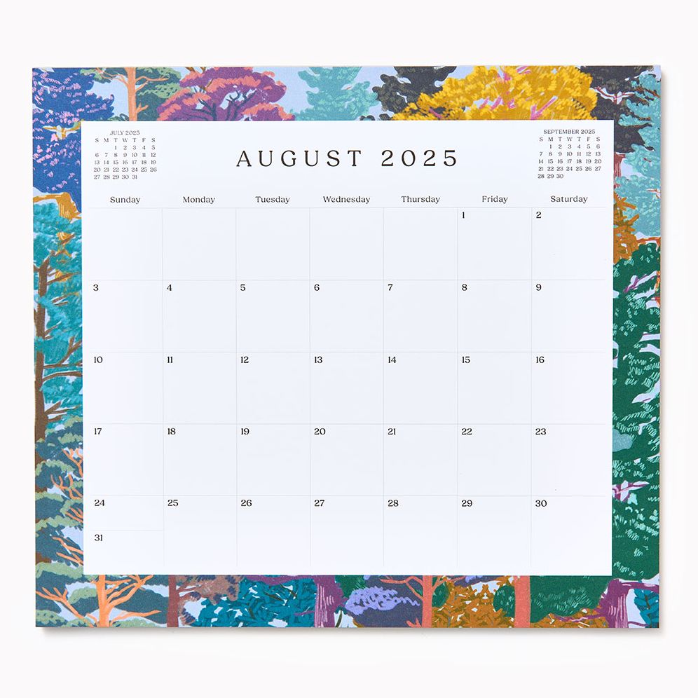 2025-2026 Paper Source Landscapes Monthly Magnetic Calendar - Image 2