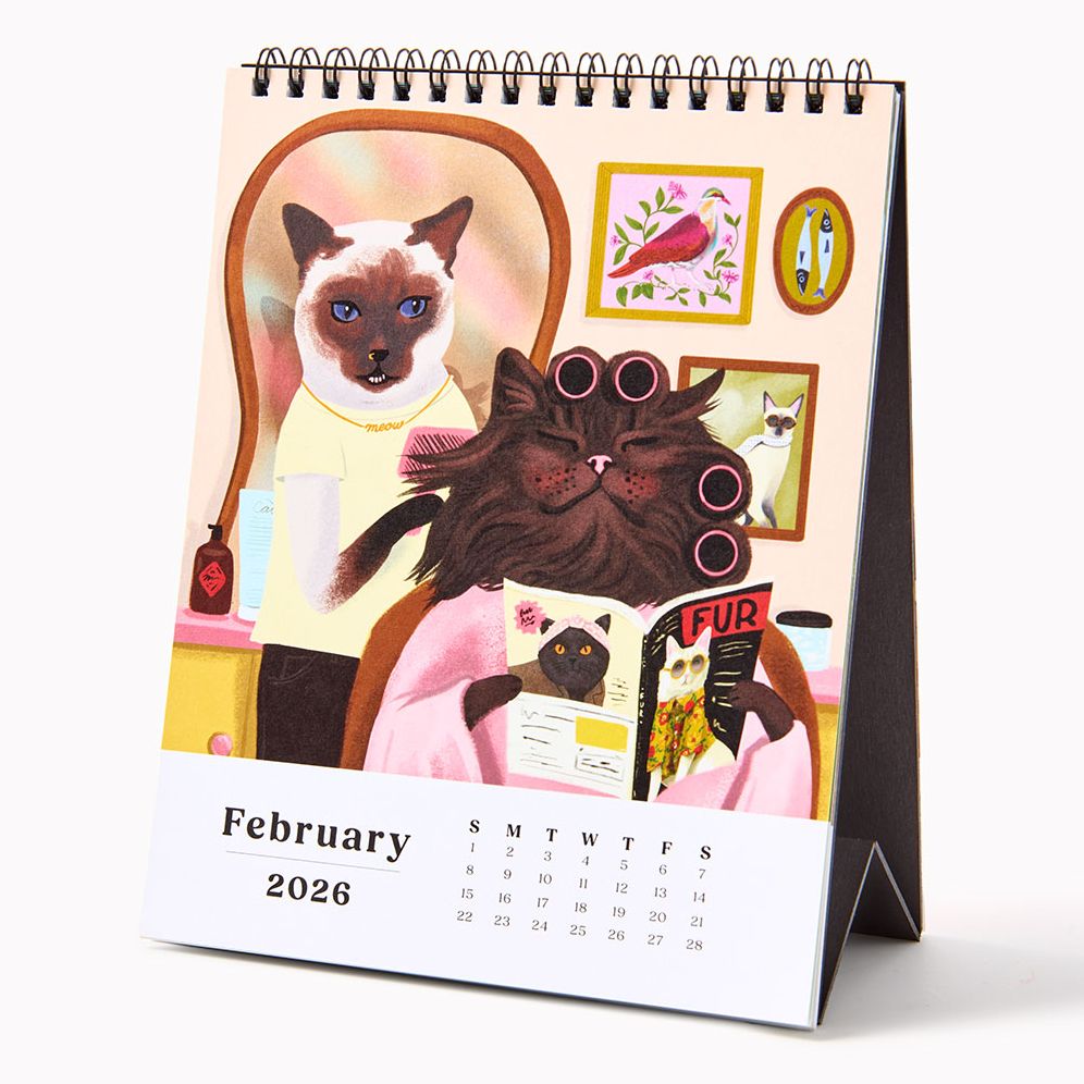 2026 Paper Source Catitude Desk Easel Calendar - Image 2