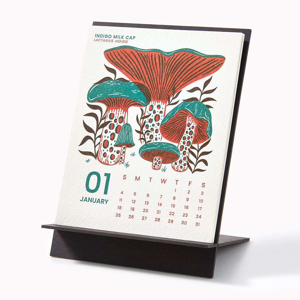 2026 Paper Source Mushroom Letterpress Desk Easel Calendar - Image 2