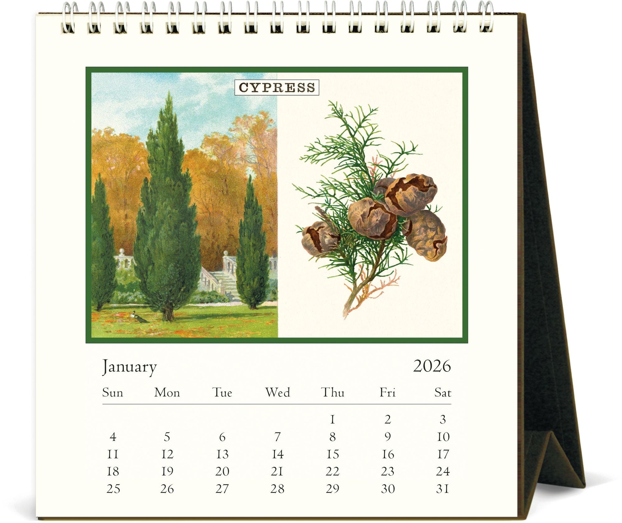 2026 Cavallini Arboretum Desk Calendar - Image 2
