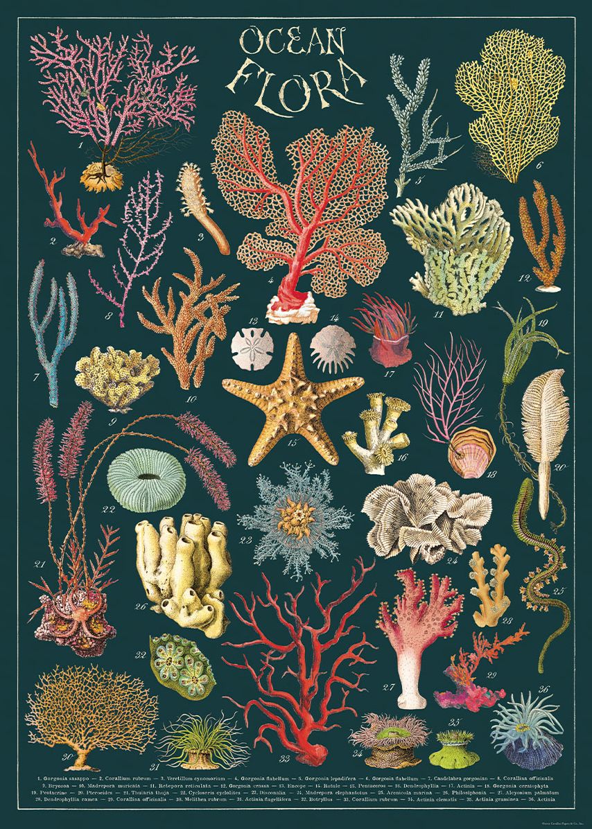 Ocean Flora Wrap