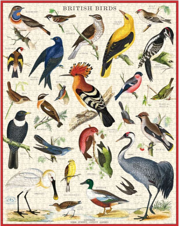 British Birds 1.000 Pc Puzzle - Image 2
